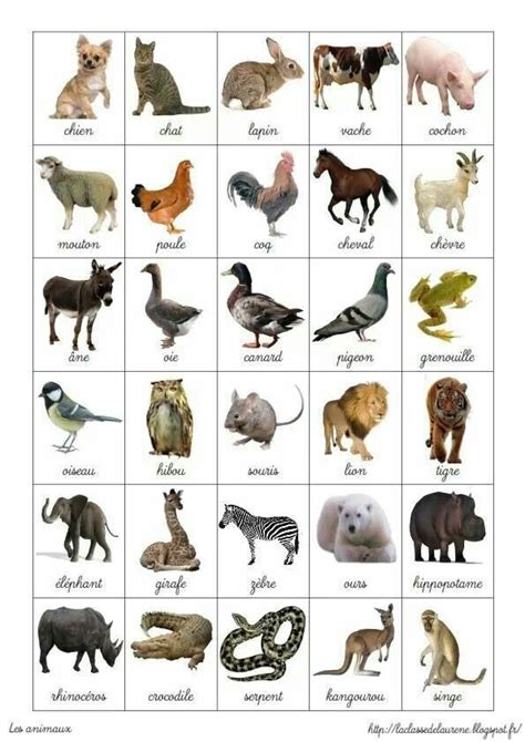 20 animaux en a.